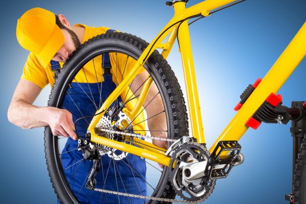 Bike Assembly in Hayden