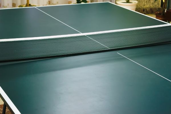 Ping Pong Table Assembly in Hayden